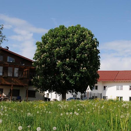 Ferienhof Hopfgaertle Mueller Bodnegg Zewnętrze zdjęcie