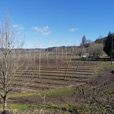 Ferienhof Hopfgaertle Mueller Bodnegg Zewnętrze zdjęcie
