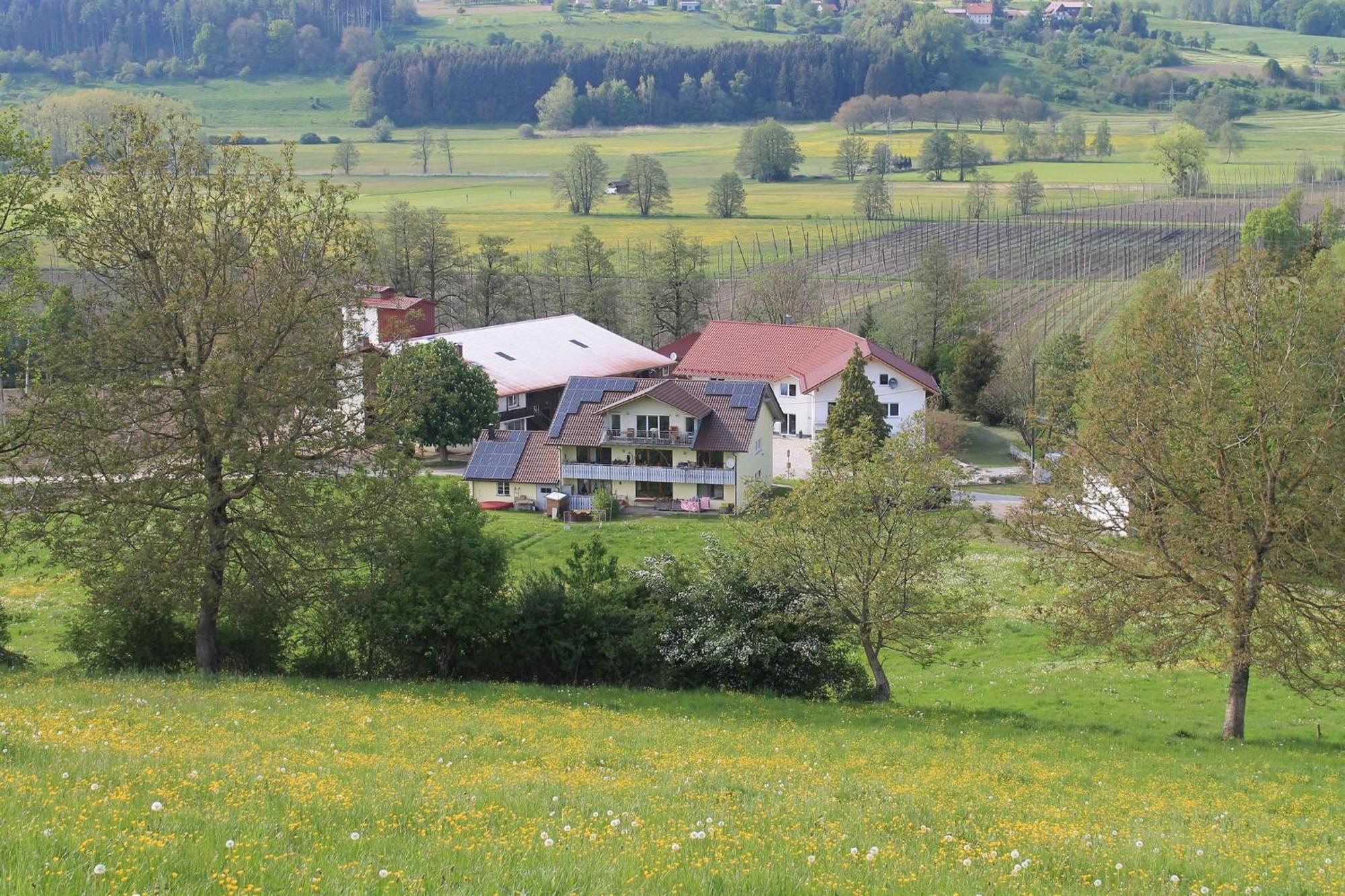 Ferienhof Hopfgaertle Mueller Bodnegg Zewnętrze zdjęcie
