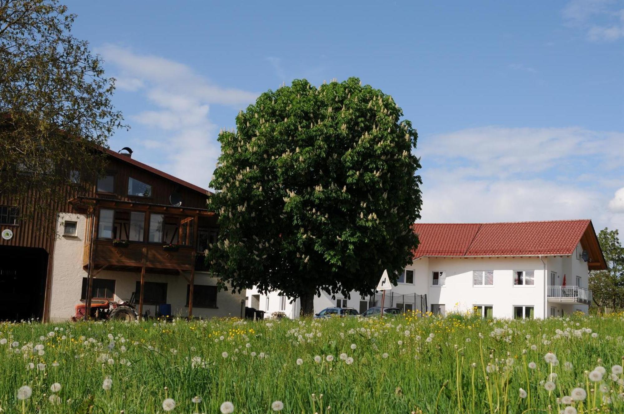 Ferienhof Hopfgaertle Mueller Bodnegg Zewnętrze zdjęcie